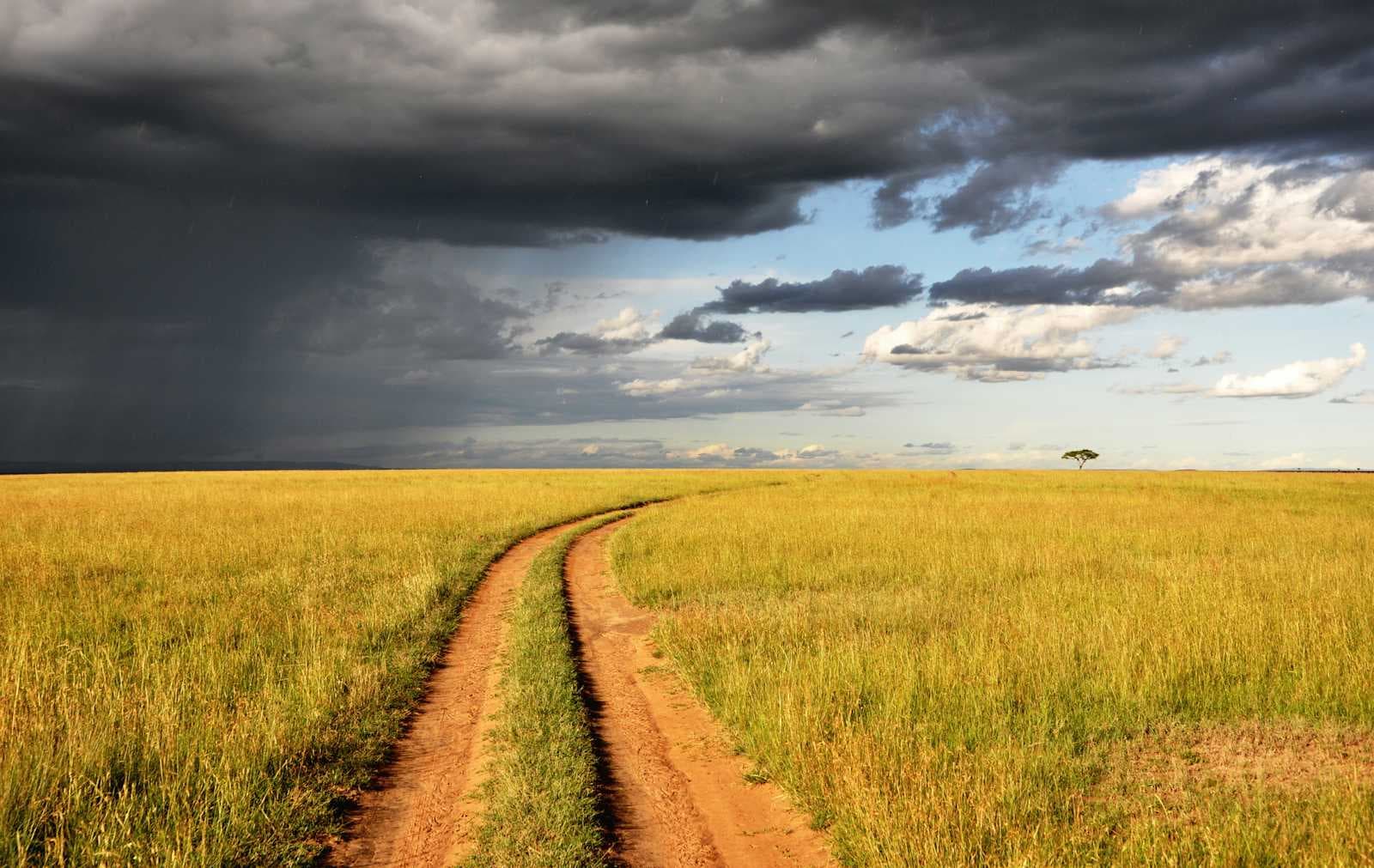 From Cloud to Village: AI for Rural Kenya